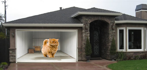 Big cat garage door screen